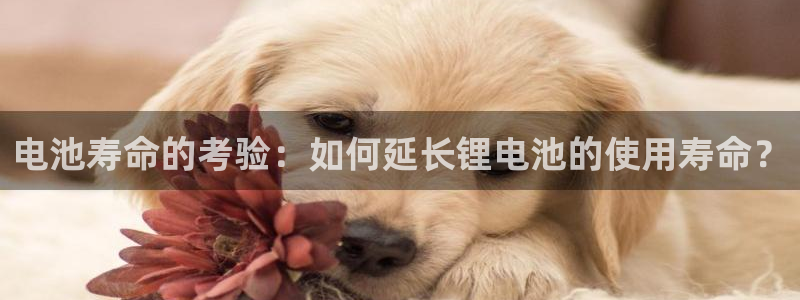 okpay钱包安全吗