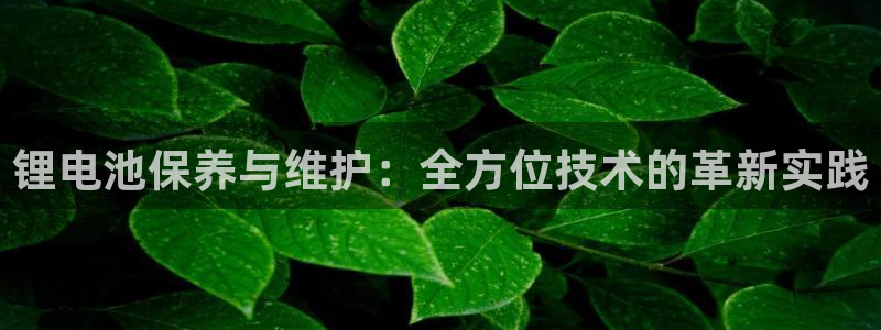 okpay钱包安卓下载