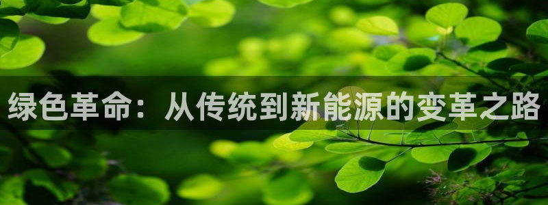okpay钱包实名认证有风险吗