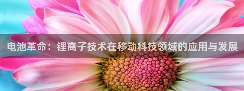 okpay钱包旧版本