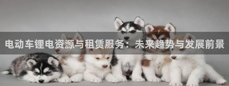 什么是okpay钱包