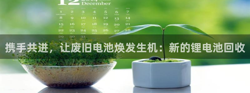 okpay钱包客服怎么联系