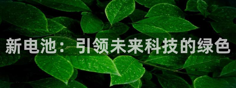 okpay777钱包