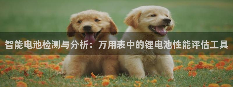 okpay钱包是哪个国家的