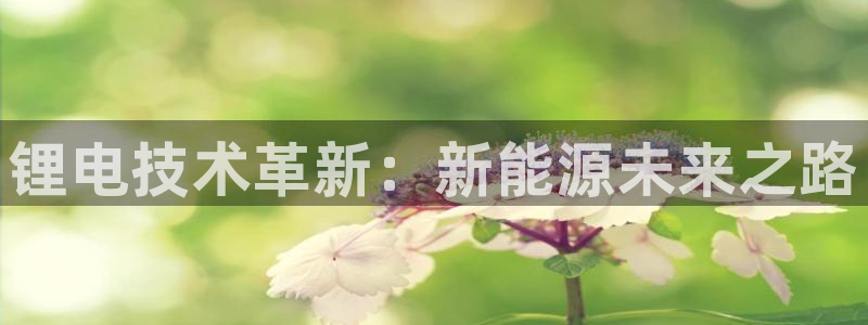 okpay钱包下载官网