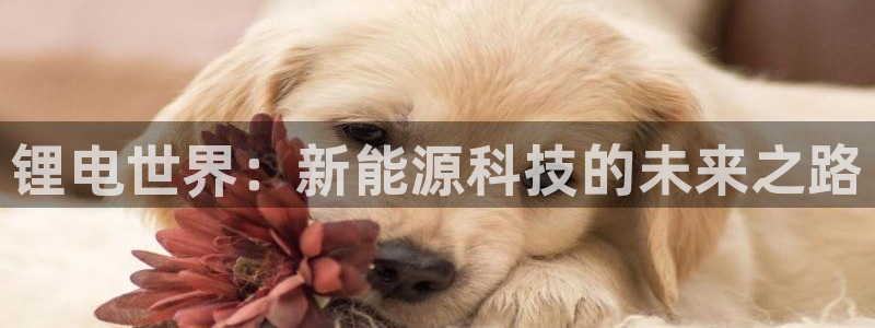 okpay钱包合法吗