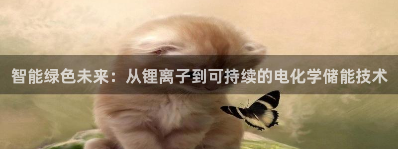 okpay钱包安全吗