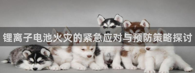 okpay钱包怎么充值