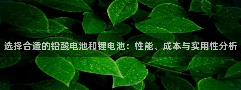 okpay钱包苹果