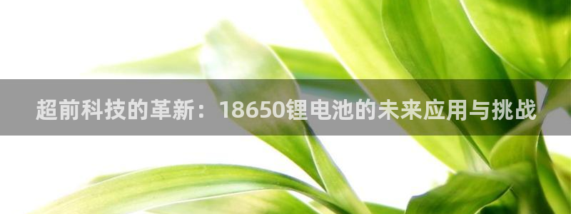 okpay钱包下载