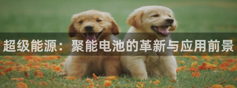 okpay钱包支付
