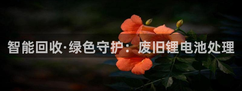 okpay钱包下载地址