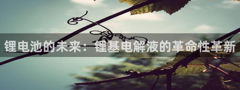 okpay钱包正规吗