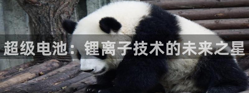 okpay钱包下载官网