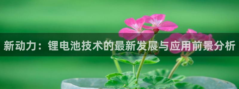 okpay支付钱包官网