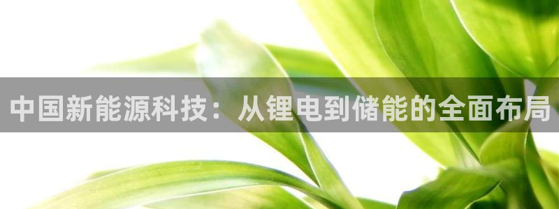 okpay支付钱包官网