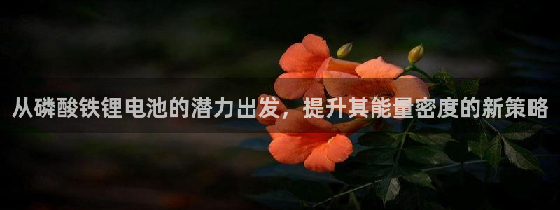 okpay钱包好用吗