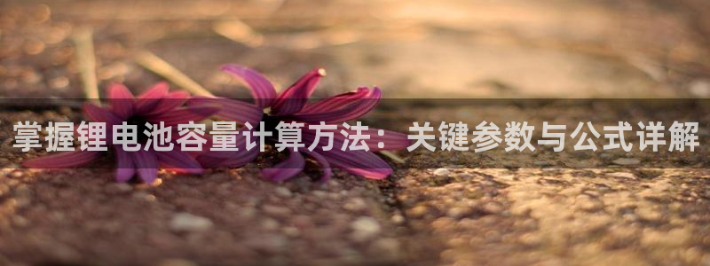 okpay钱包是正规的吗