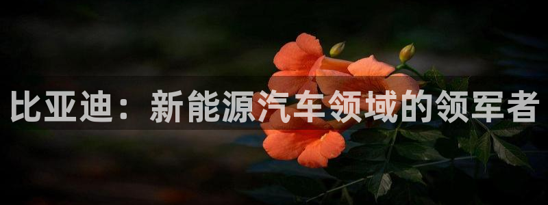 okpay钱包安全可靠吗