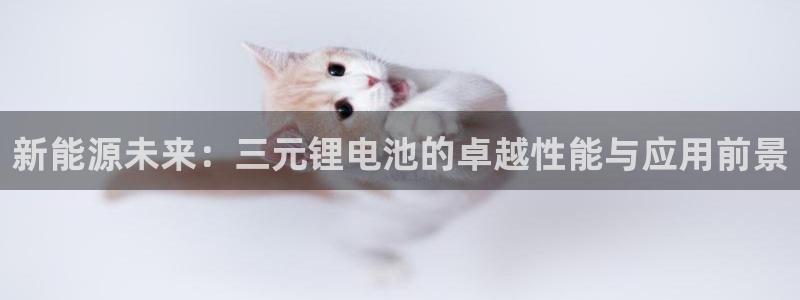 gopay及okpay钱包