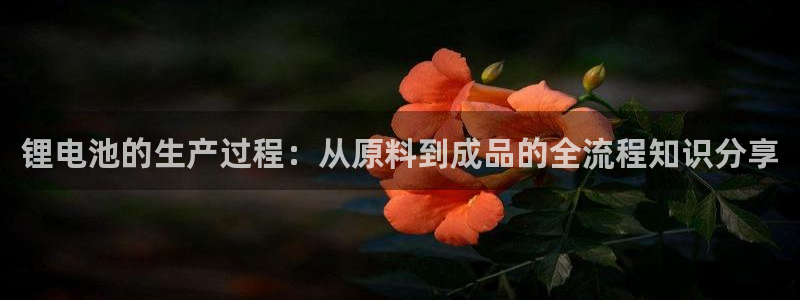 okpay钱包会被查吗