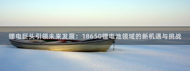 okpay钱包安卓版下载