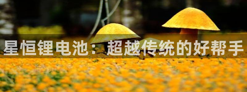okpay钱包官网版