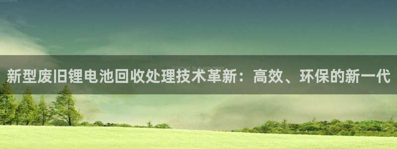 okpay是哪个国家的钱包